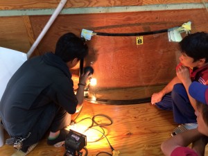 ガラスワイパー傷除去講習